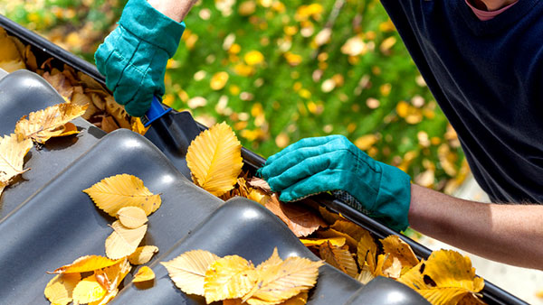8-tips-leaves-out-of-gutters